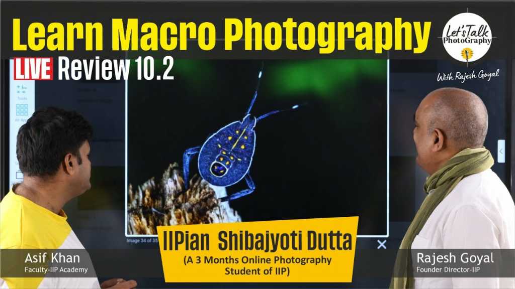 Through the Macro Lens: Unveiling the Minute Wonders with IIPian Shibajyoti Dutta | IIP Review Session 11